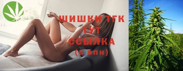mdpv Горно-Алтайск