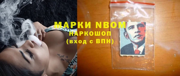 крисы Горняк