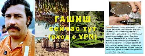крисы Горняк