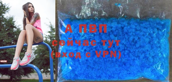 крисы Горняк