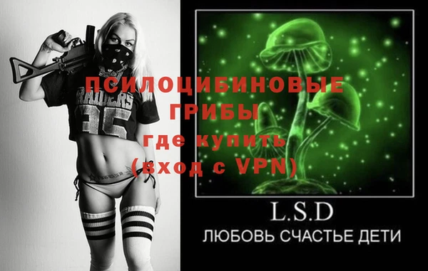крисы Горняк