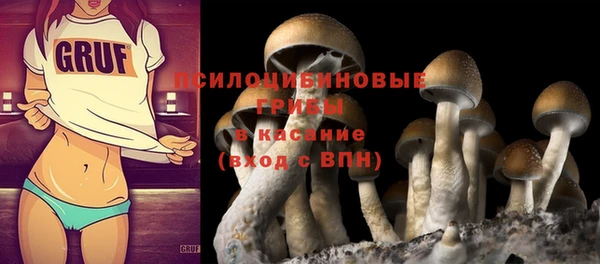 крисы Горняк