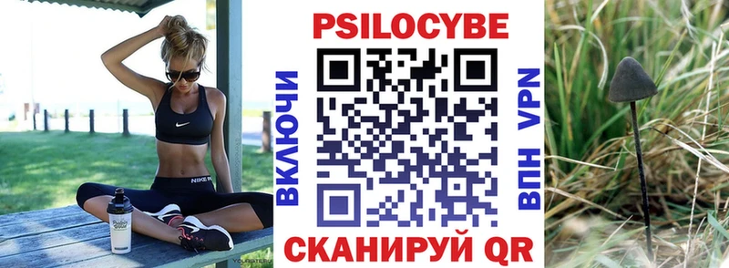 где можно купить   Изобильный  Псилоцибиновые грибы мухоморы 