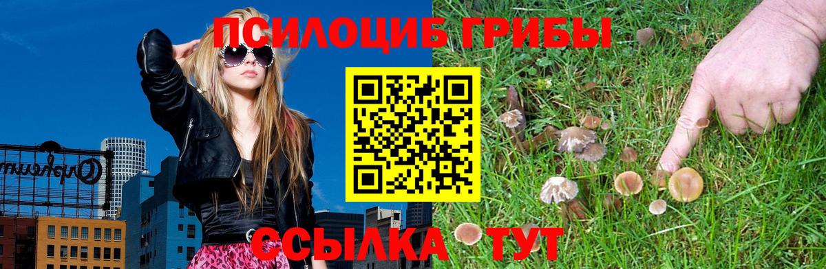 Изобильный  Галлюциногенные грибы прущие грибы  Вход с VPN  Галлюциногенные грибы Magic Shrooms 
